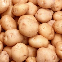 Система питания и нормы внесения удобрений для картофеля